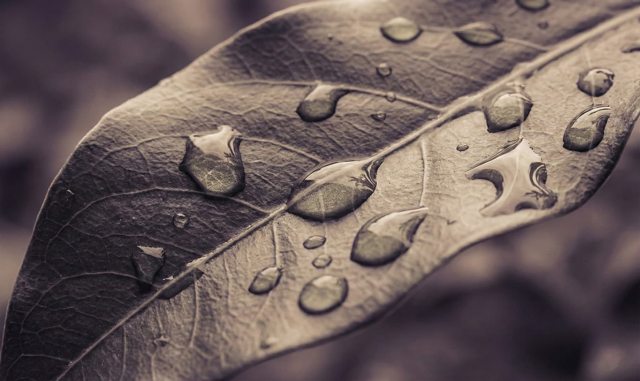 Finding Your People: The Best Communities for Learning AI Implementation