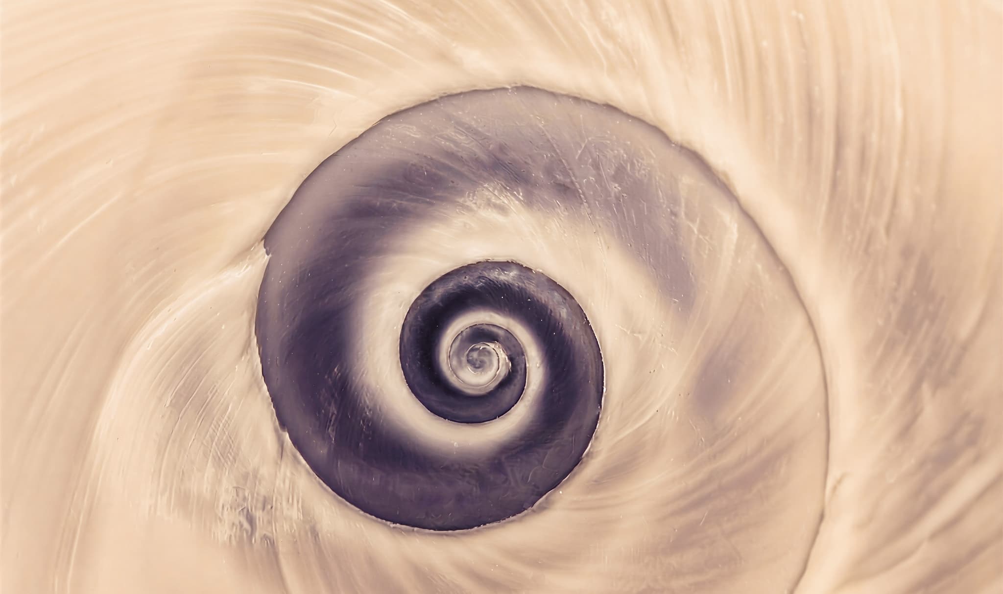 From Plato to AI: How to navigate transformative change