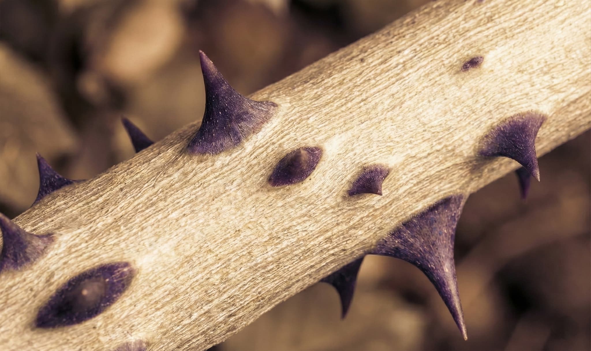 The +2€ Trillion problem: Why data silos are killing your AI Strategy